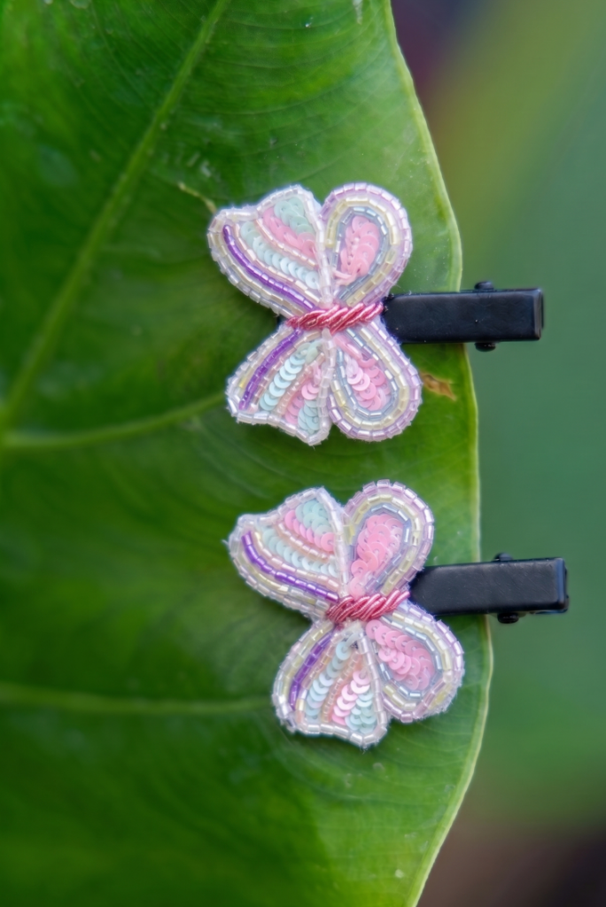 Dreamwing Clips