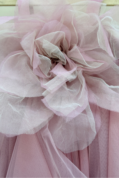Rose Rosette