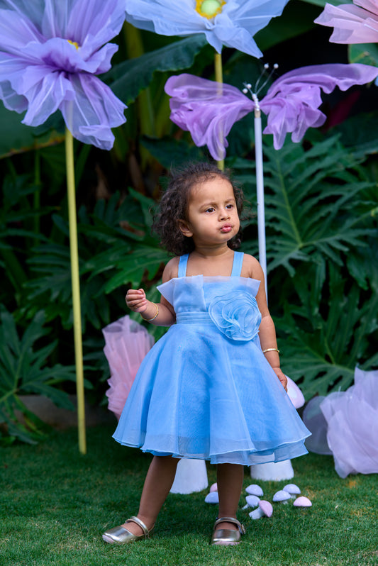 Blue Pleates Flower Dress