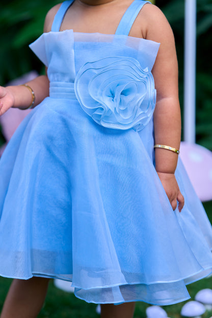 Blue Pleates Flower Dress