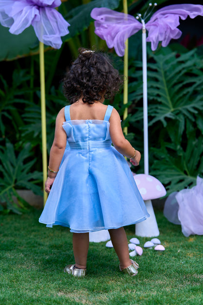 Blue Pleates Flower Dress