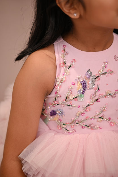 Cherry Blossom