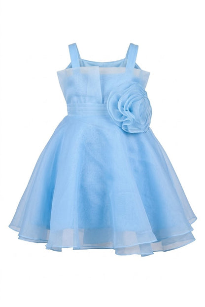 Rose dress
